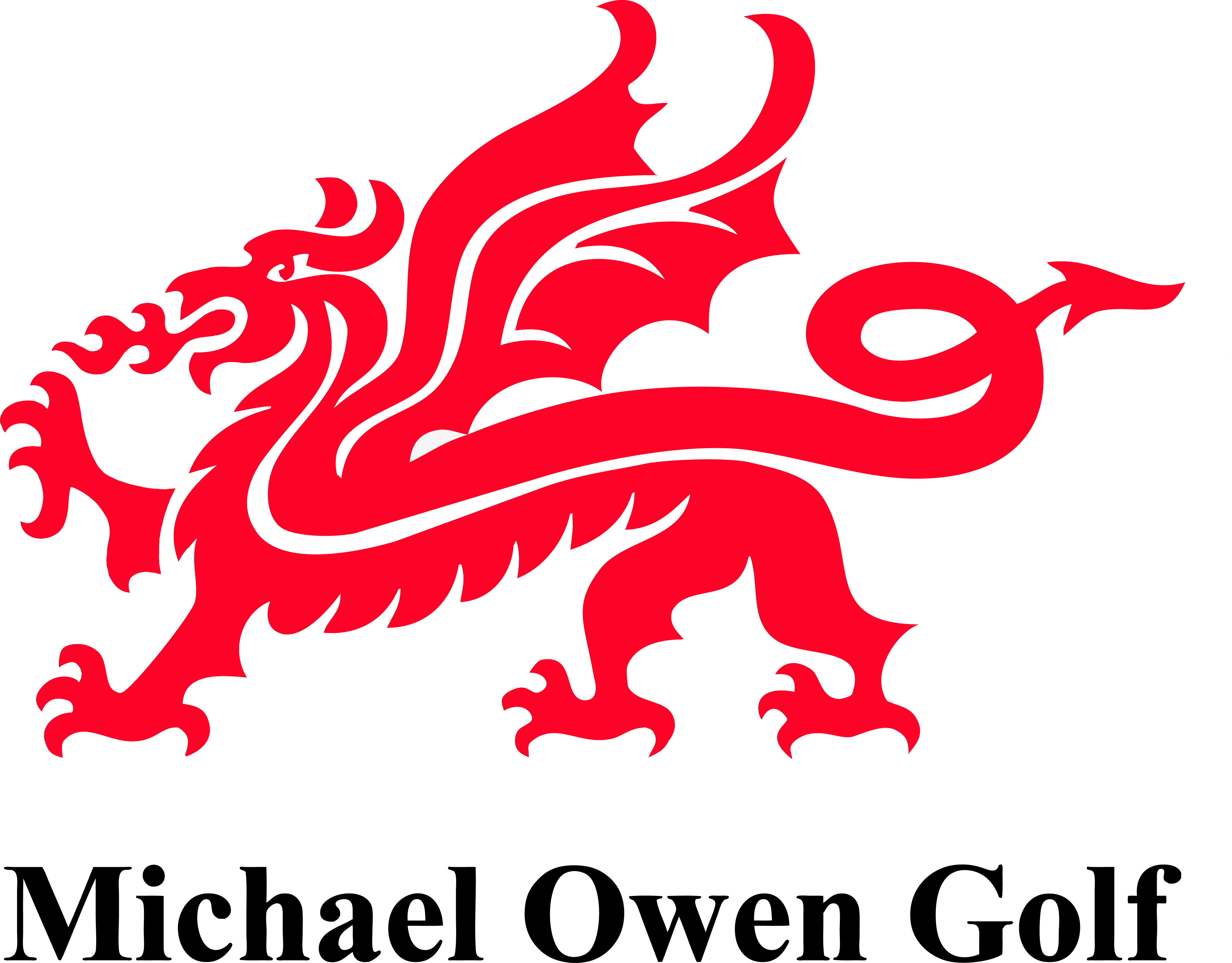 Michael Owen Golf